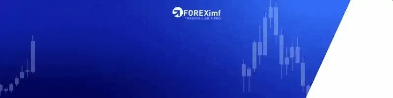 belajar_forex_pemula.gif