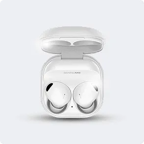 thumbnail-buds 2 biasa.png