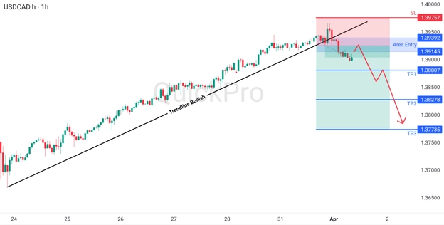 analisa hari ini NZDUSD 1 April 2026 analisa hari ini NZDUSD 1 April 2026